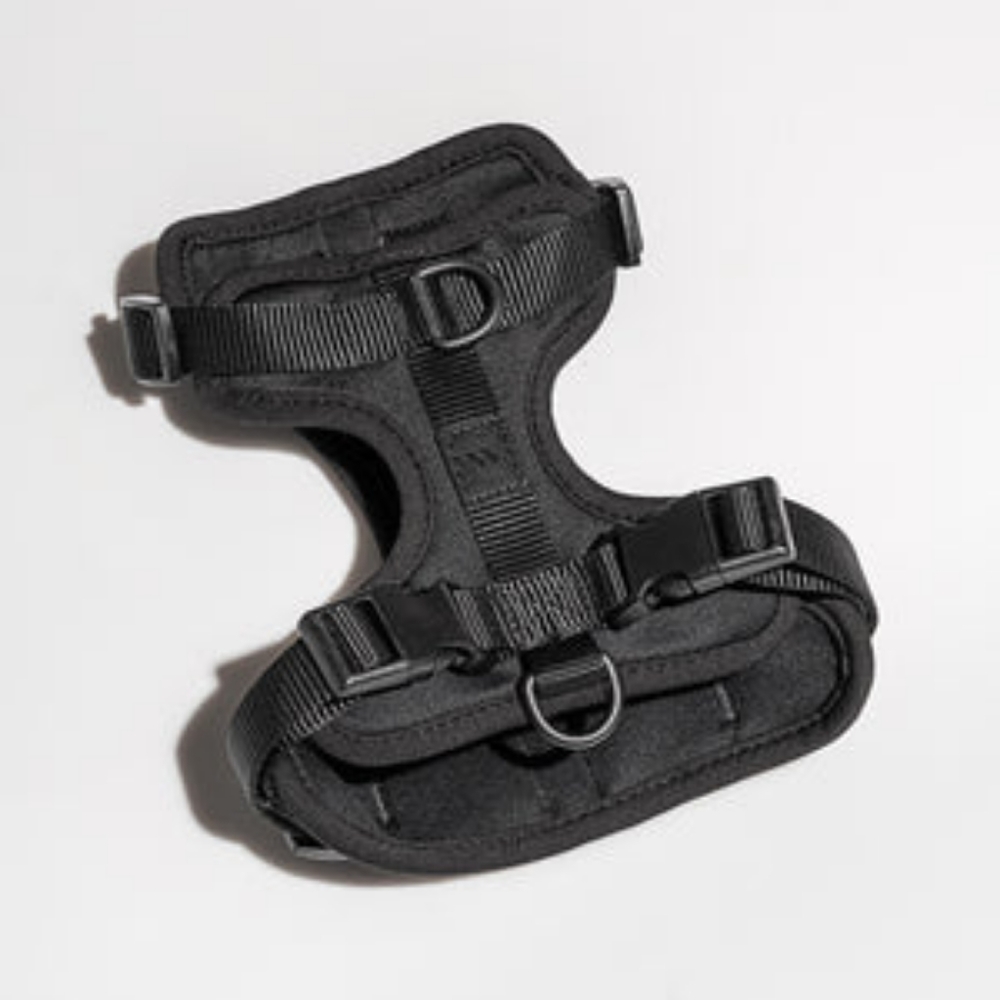 Wild One Harness - Dog (Large)